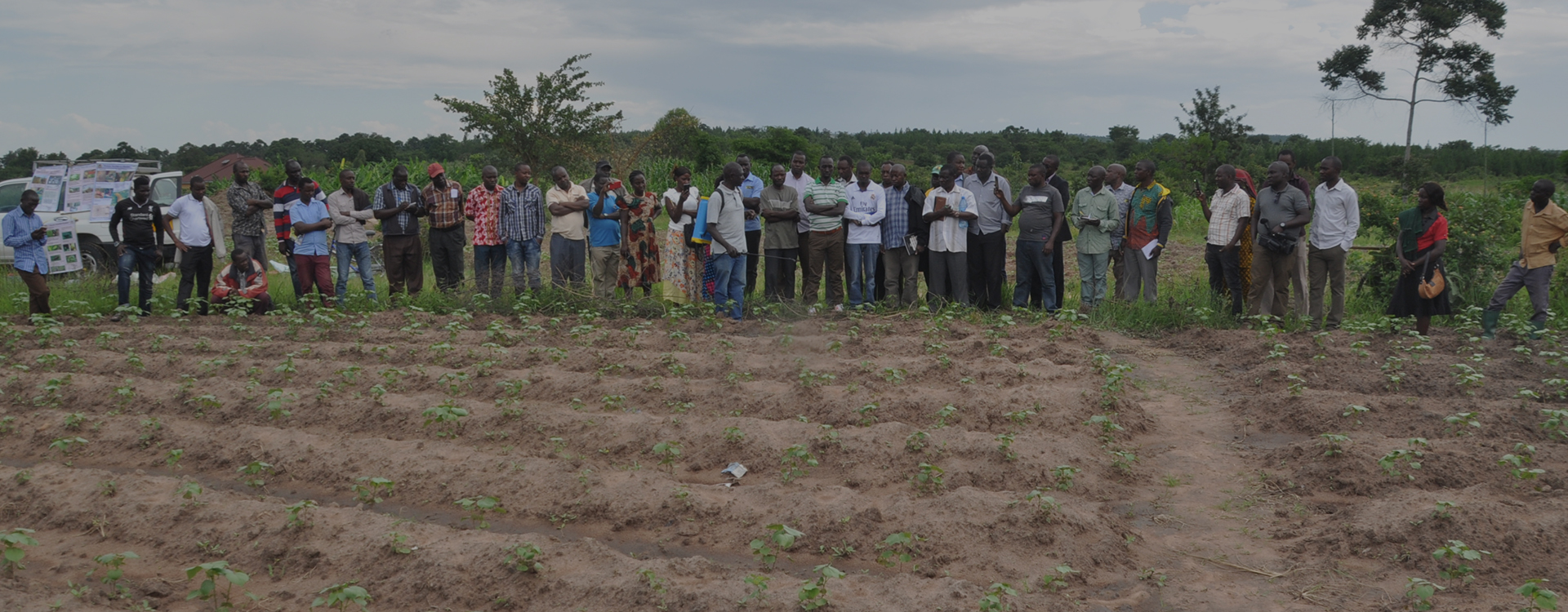 title_69e1fac89c4914329489591776417480