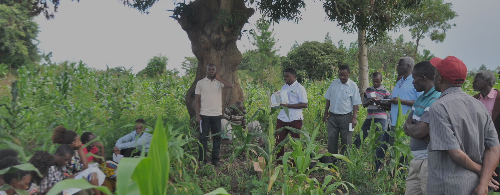 title_69e1fac89c4829795604621776417480