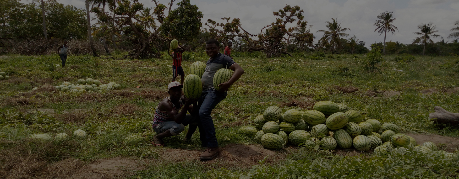 title_69e1fac89c49d18033183001776417480